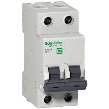 SCHNEIDER ELECTRIC EZ9F34206 MCB Easy9, 2P, 6 A, C curve